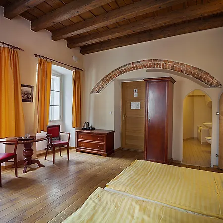 Hotel U Tri Bubnu 3*