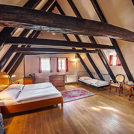 Hotel U Tri Bubnu 3*