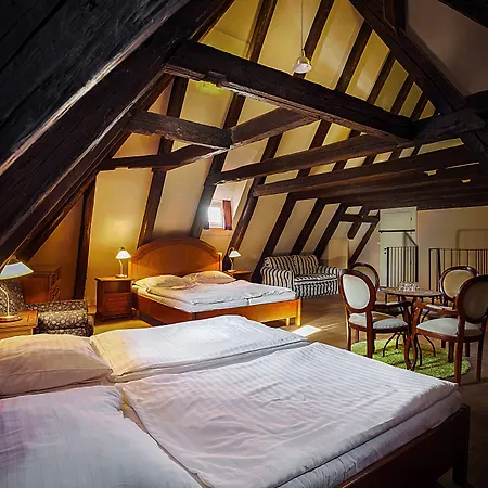 U Tri Bubnu 3* Prague