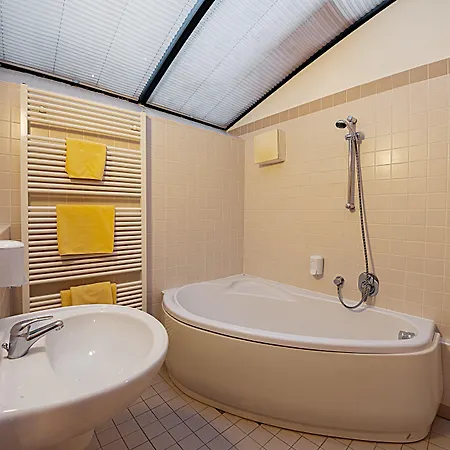 Hotel U Tri Bubnu 3*