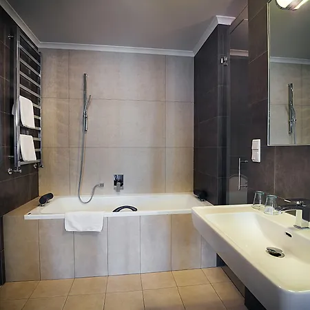 Hotel U Tri Bubnu 3*