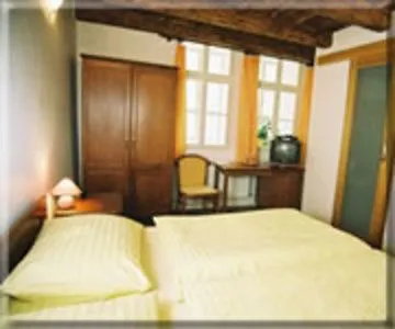 Hotel U Tri Bubnu Prague