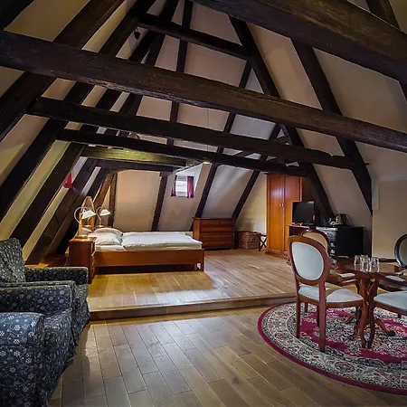 Hotel U Tří Bubnů Praga