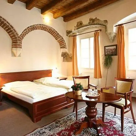 Hotel U Tri Bubnu Praga