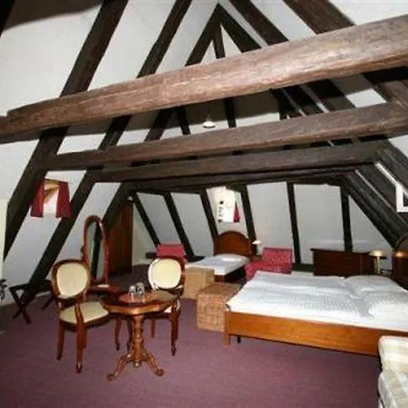 Hotel U Tri Bubnu