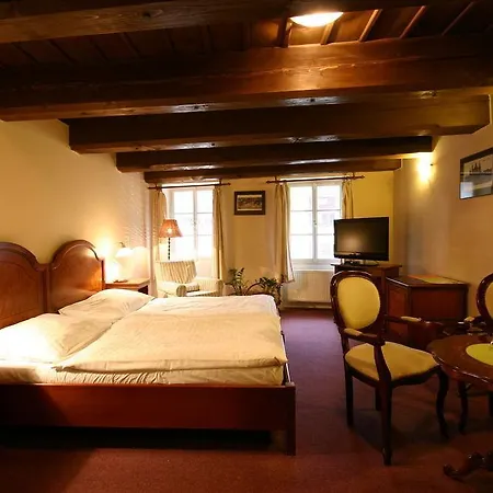 Hotel U Tri Bubnu Praga