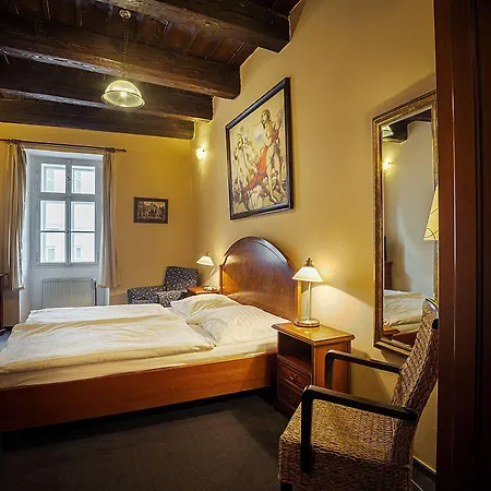 Hotel U Tri Bubnu Prague