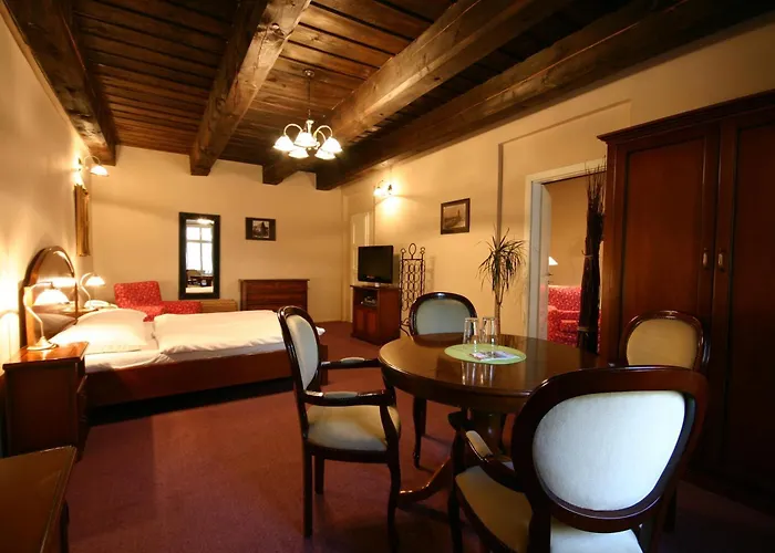 Hotel U Tri Bubnu Praag