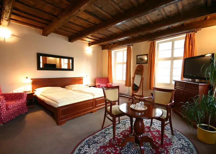 Hotel U Tri Bubnu Praag