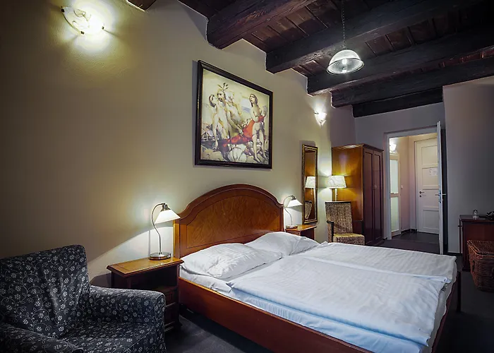 U Tri Bubnu Hotel Praag