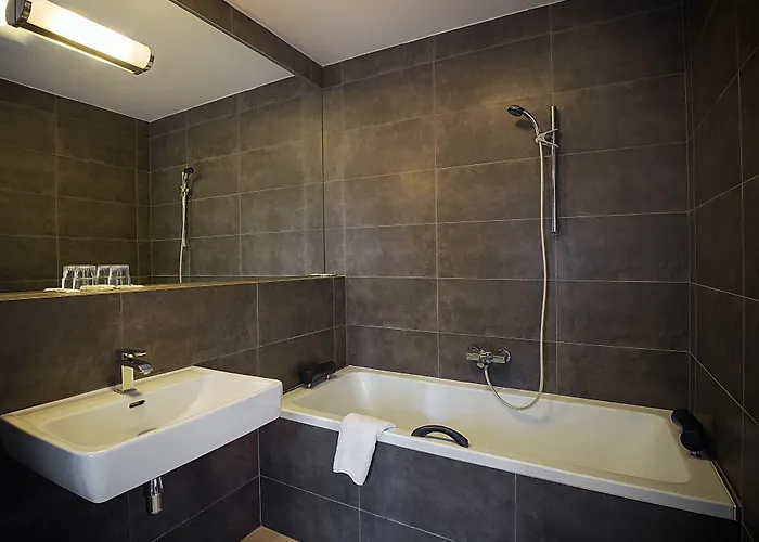 Hotel U Tri Bubnu 3*