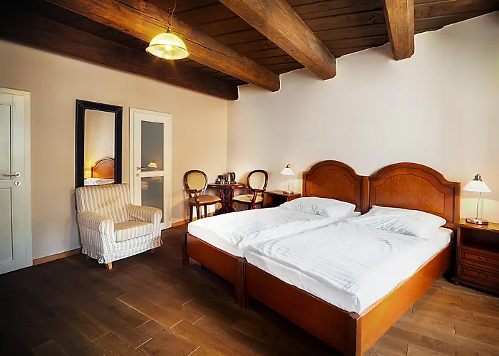 U Tri Bubnu Hotel Praag