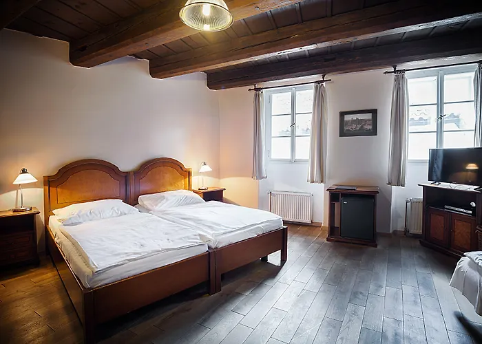 U Tri Bubnu Hotel Praag