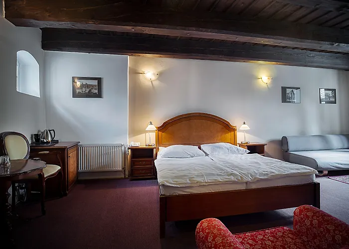 U Tri Bubnu Hotell Prag