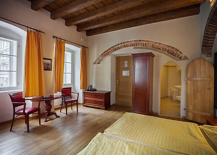 Hotel U Tri Bubnu 3*