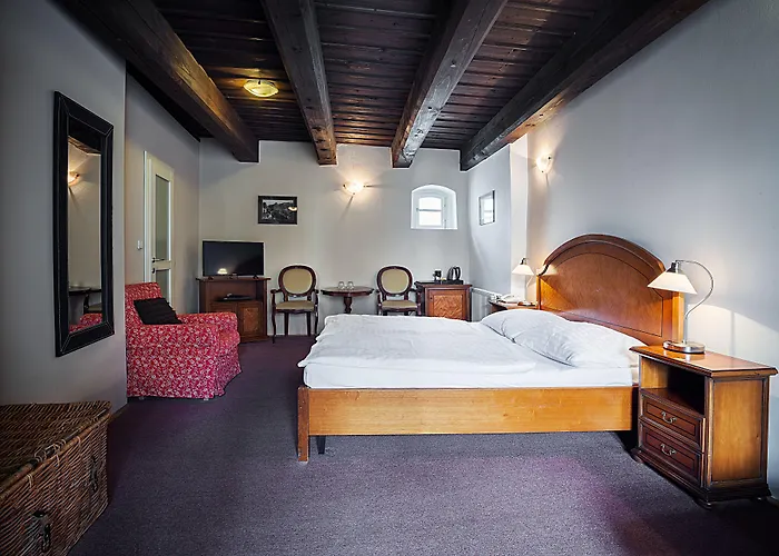 Hotel U Tri Bubnu 3*