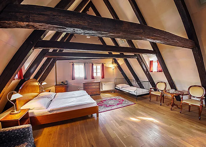 Hotel U Tri Bubnu 3*