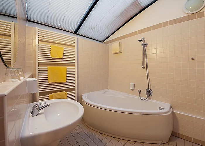 Hotel U Tri Bubnu 3*