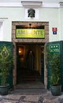 Hotel U Tri Bubnu 3*