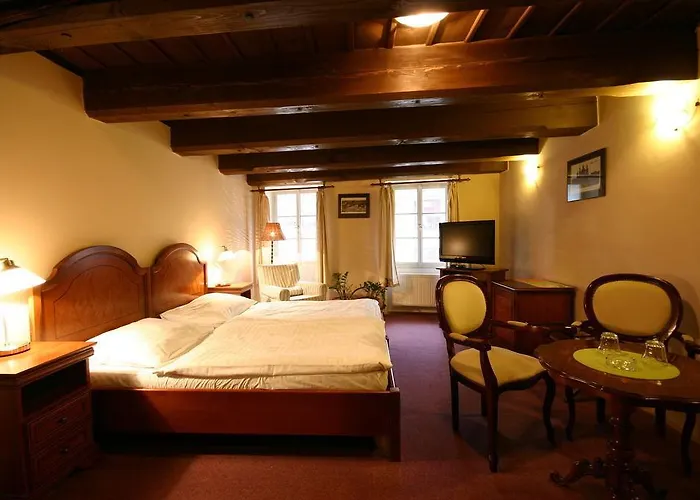 Hotel U Tri Bubnu Praag